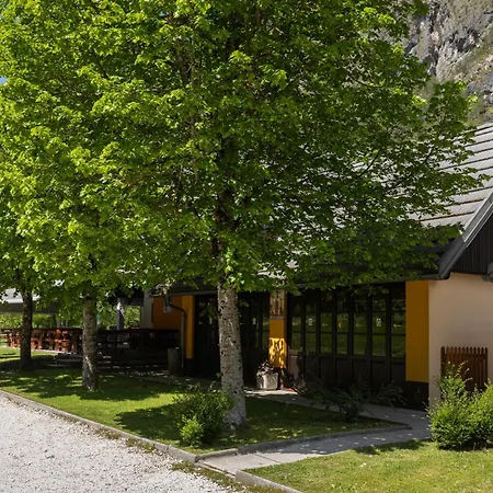 Metoja 公寓 索卡